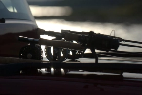 The light does it The light does it