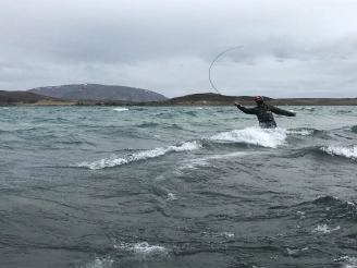 Fighting the wind Fighting the wind