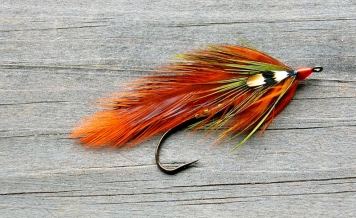 Autumn Delight Autumn Delight