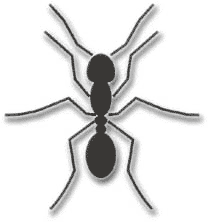 Use this profile as a template for the ant's legs