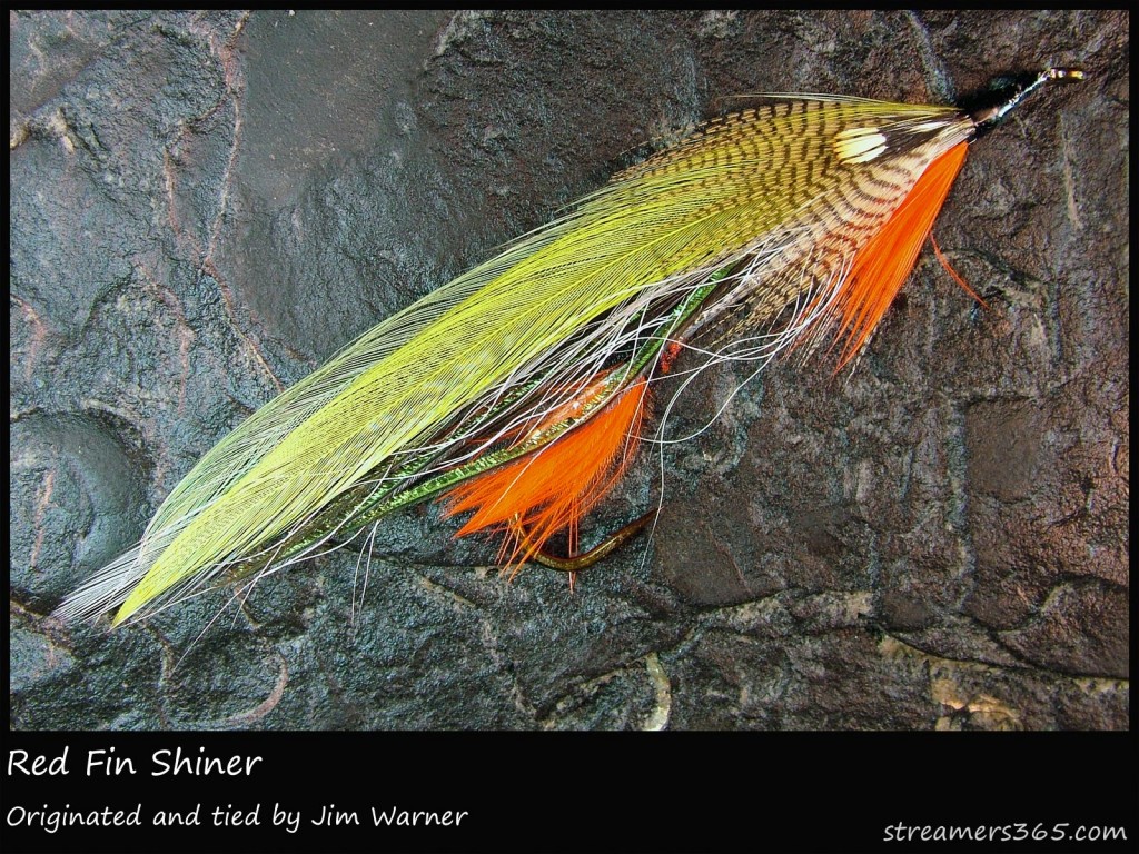 #220 Red Fin Shiner - Jim Warner