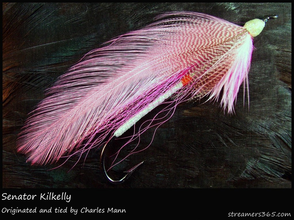 #247 Senator Kilkelly - Charlie Mann