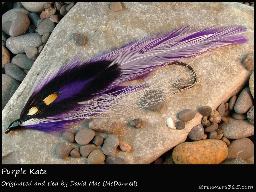 #329 Purple Kate - David Mac