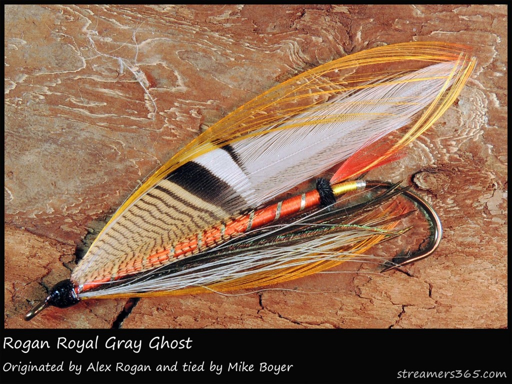 #359 Rogan's Royal Gray Ghost - Mike Boyer