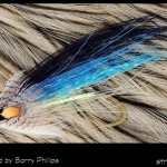 #27-2013 Blue Fly - Barry Phillips