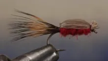 Video thumb for Devil Bug