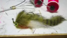 Video thumb for The Cellar Dweller Streamer
