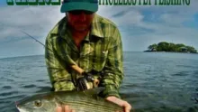 Video thumb for Out of our element