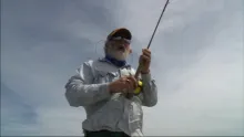 Video thumb for Golden Trevally on Fly