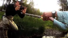 Video thumb for Fly fishing for Brook trout on the Upper Deschutes River