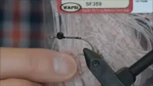Video thumb for Cactus Shrimp