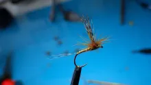 Video thumb for Coq de Leon Dark Olive Spinner