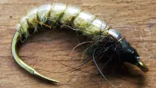 Video thumb for Czech nymph