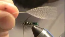 Video thumb for Zug Bug