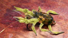 Video thumb for Pancora Crab