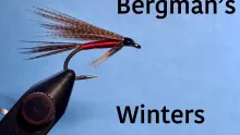 Video thumb for Bergman’s Winters