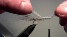 Video thumb for Quick shrimp