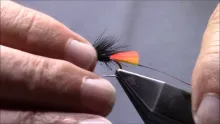 Video thumb for Muddler Headed Clan Chief Hog