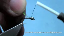 Video thumb for Tungsten Skinny Nelson