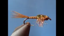 Video thumb for 50/50 Nymph