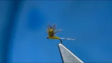 Video thumb for Small CDC Comparadun