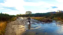 Video thumb for Fight and Run