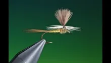 Video thumb for Parachute Blue Winged Olive