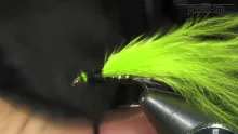 Video thumb for The Martinez'