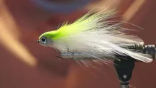 Video thumb for Slab Fly Variant 