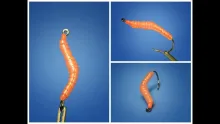 Video thumb for Re-Vladi Worm