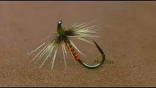 Video thumb for Greenwells Spider