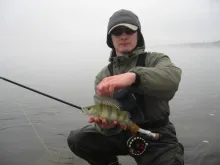 User submitted picture: Winter