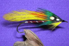 User submitted picture: A Fall Attractor Streamer