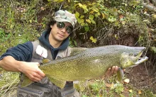 User submitted picture: A captured king, soon to ...