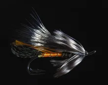 User submitted picture: Rusty Rat