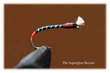 User submitted picture: Just let the buzzer drift...