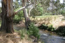 User submitted picture: Fish habitat has improved...