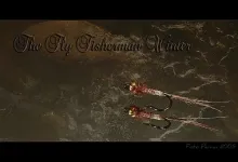 User submitted picture: My favourite fly...