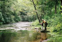 User submitted picture: More than catching fish.....