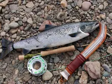 User submitted picture: Grilse and gear