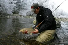 User submitted picture: Nice barb caught on tungs...