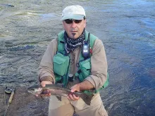 User submitted picture: A rainbow trout of the Pu...