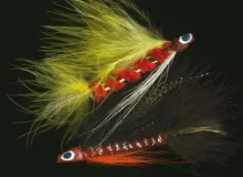 User submitted picture: Tube fly