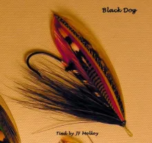 User submitted picture: Black Dog Atlantic Salmon...