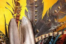 User submitted picture: Feathers for classics sal...