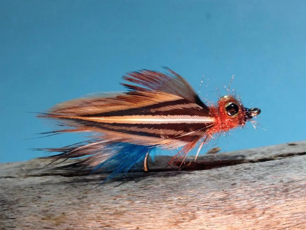 User submitted picture: The Simington