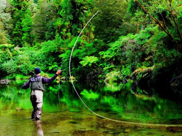 User submitted picture: green casting - west coas...