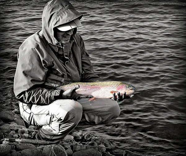 User submitted picture: Of the shade in the light