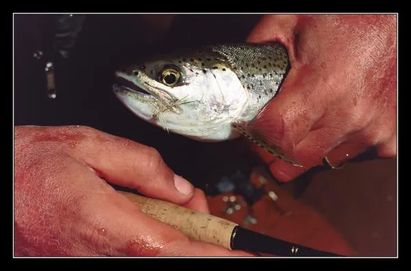 User submitted picture: Nikon F70, Zoom Nikon afd...