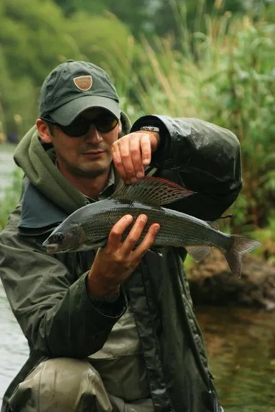 User submitted picture: One of many beautiful gra...